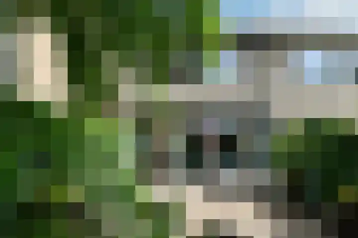Leigraaf 52 Druten thumbnail 30