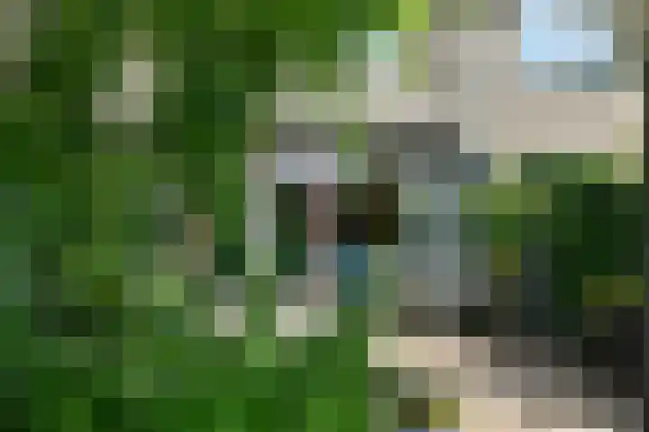Leigraaf 52 Druten thumbnail 31