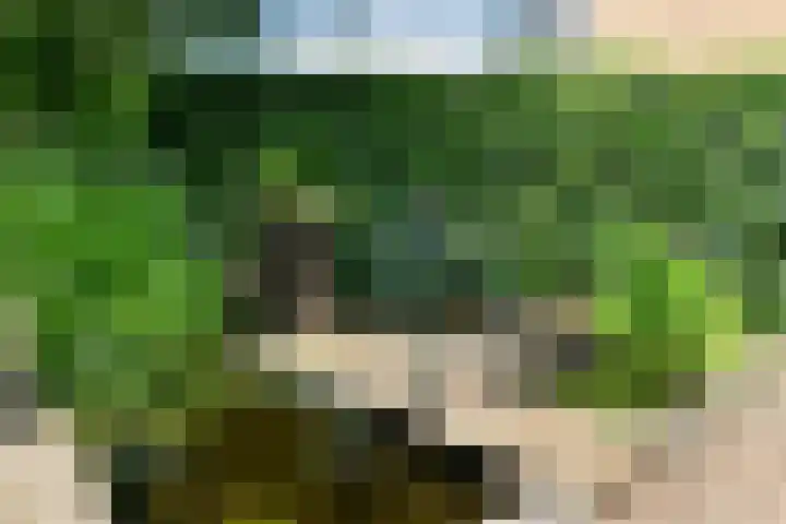 Leigraaf 52 Druten thumbnail 33