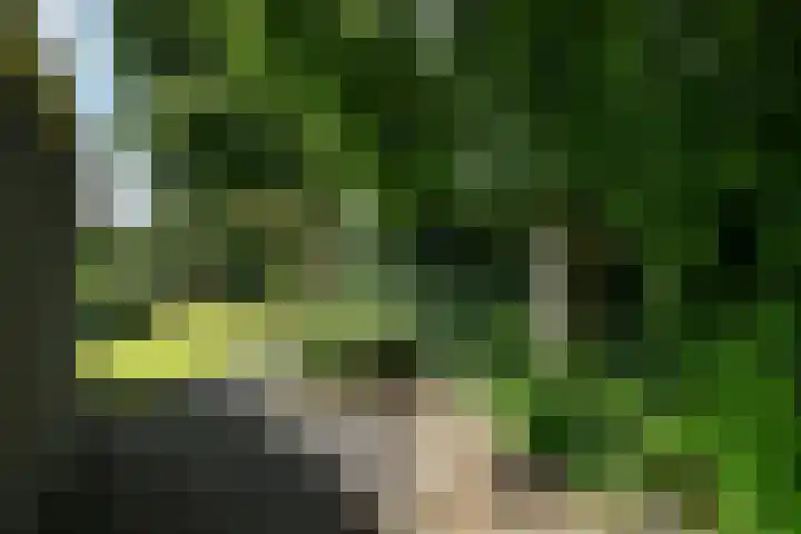 Leigraaf 52 Druten thumbnail 34