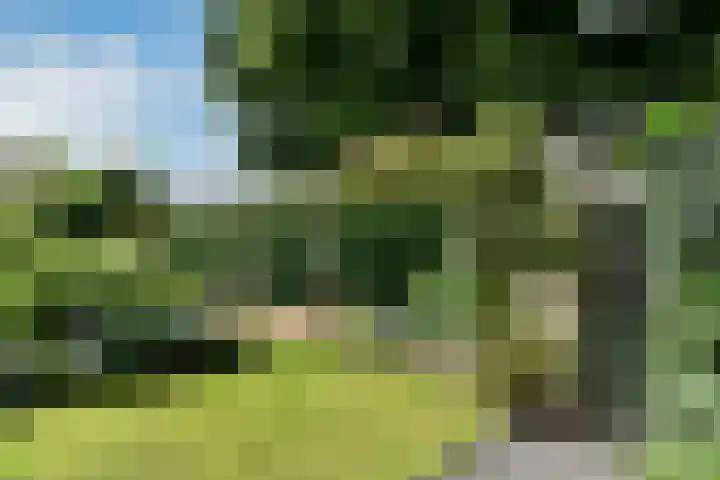 Leigraaf 52 Druten thumbnail 35