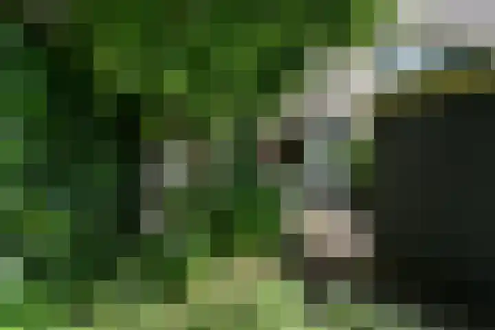 Leigraaf 52 Druten thumbnail 36