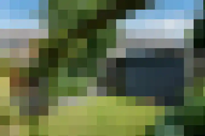 Leigraaf 52 Druten thumbnail 37