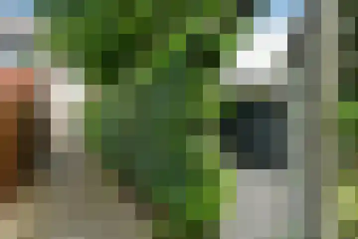 Leigraaf 52 Druten thumbnail 38
