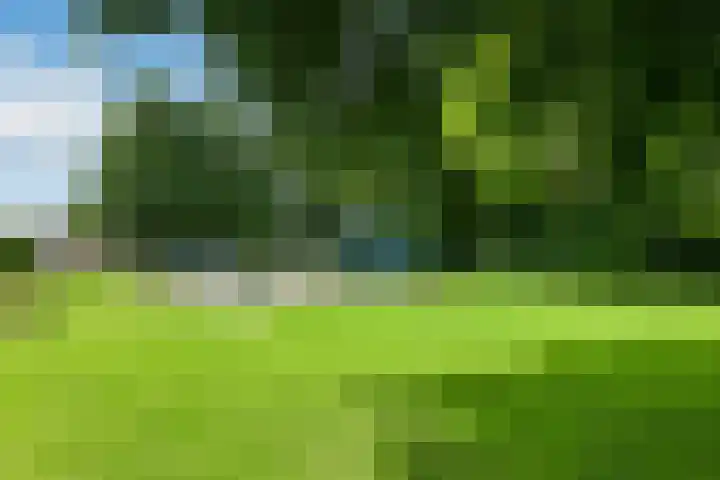 Leigraaf 52 Druten thumbnail 39