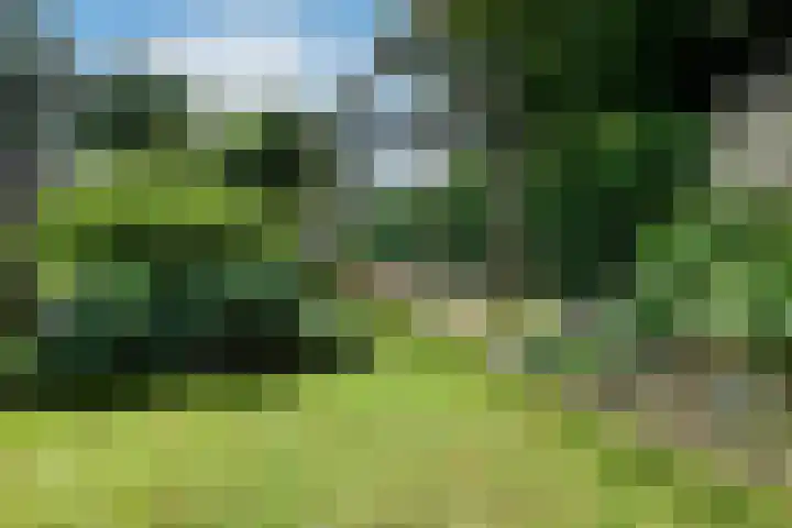 Leigraaf 52 Druten thumbnail 4