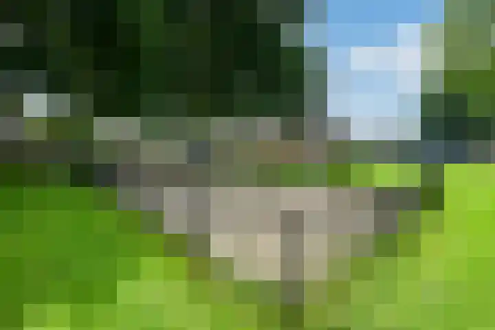 Leigraaf 52 Druten thumbnail 40