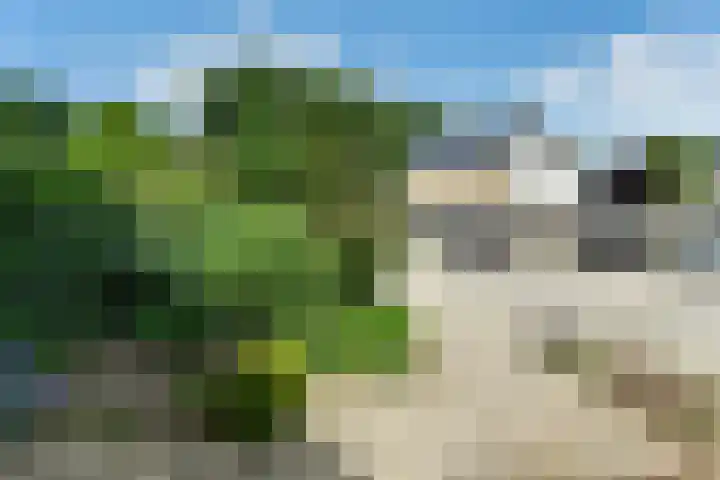 Leigraaf 52 Druten thumbnail 41