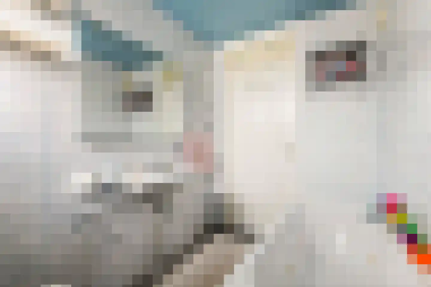 Leigraaf 56 Druten thumbnail 19