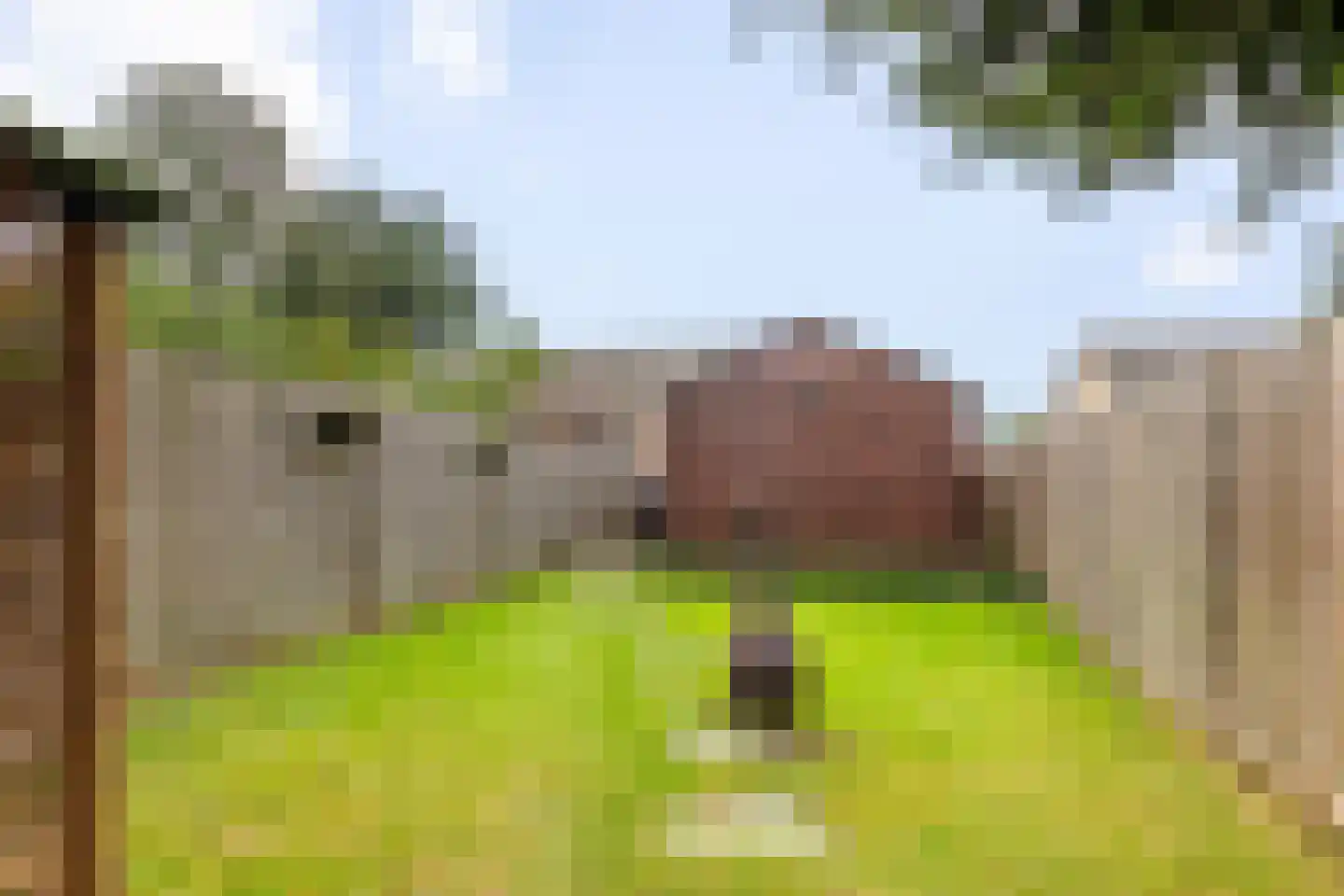 Leigraaf 56 Druten thumbnail 28