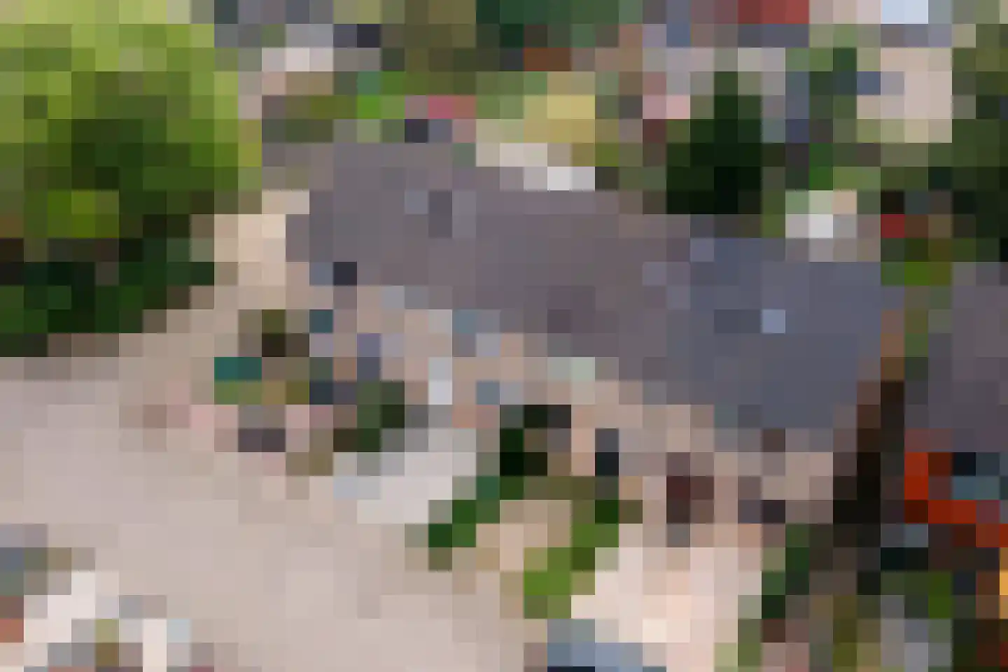 Leigraaf 56 Druten thumbnail 32