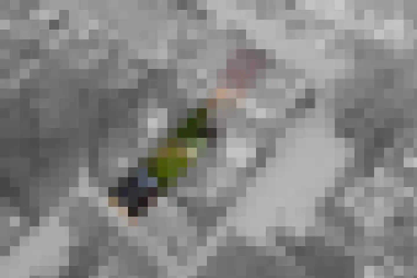 Leigraaf 56 Druten thumbnail 34