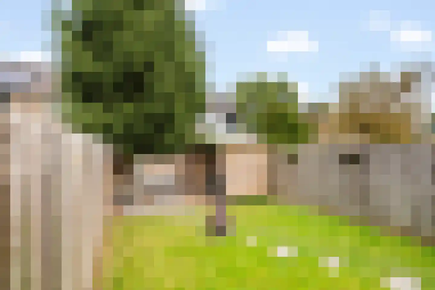 Leigraaf 56 Druten thumbnail 4