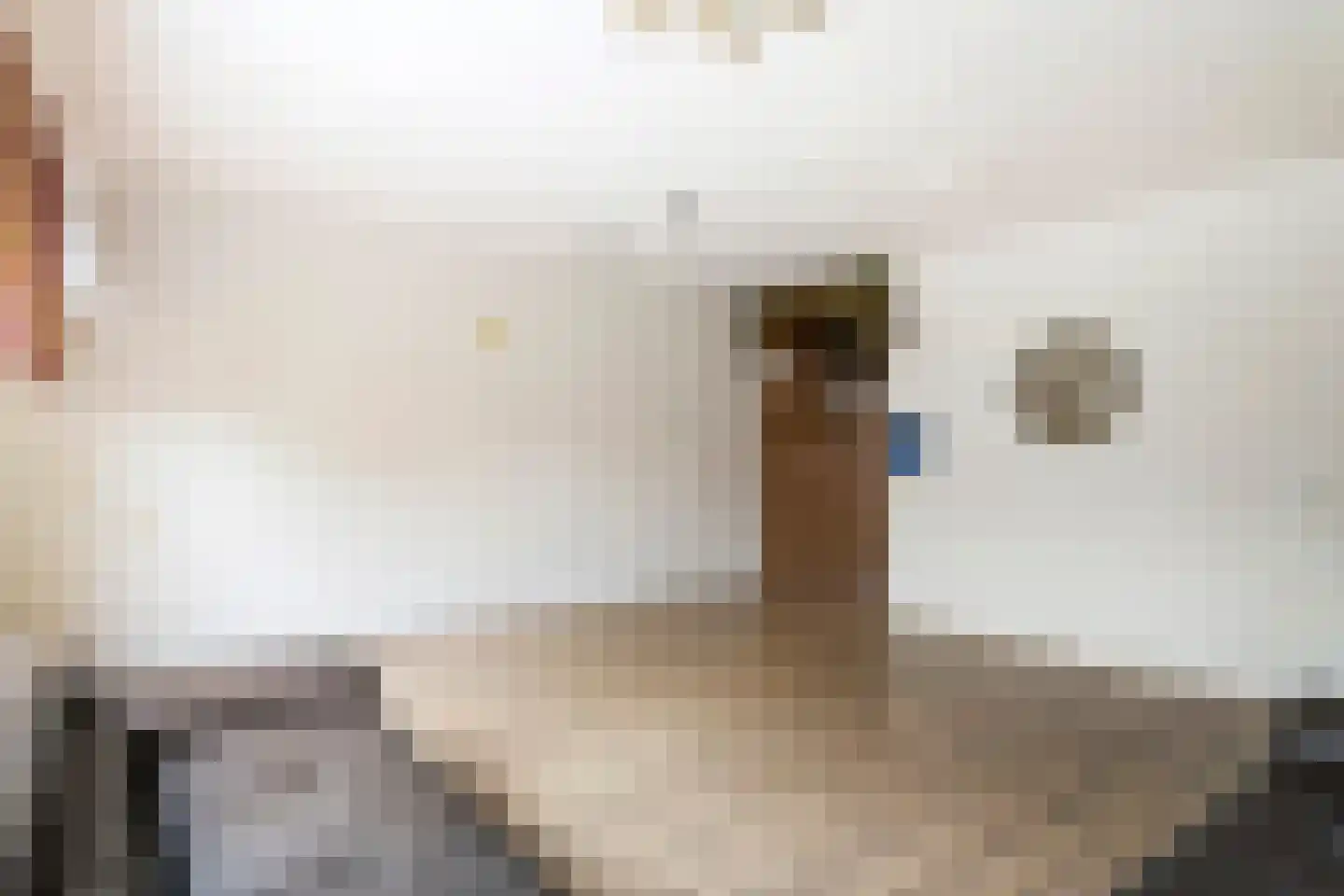 Leigraaf 56 Druten thumbnail 7