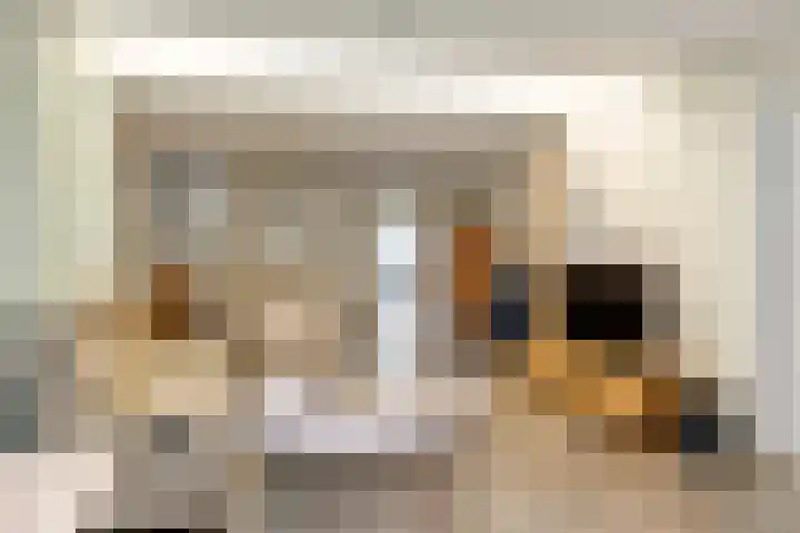 Leigraaf 58 Druten thumbnail 10