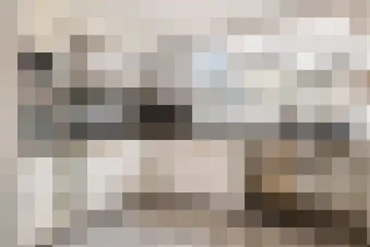 Leigraaf 58 Druten thumbnail 13