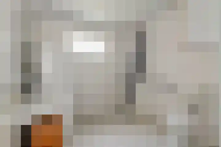 Leigraaf 58 Druten thumbnail 16