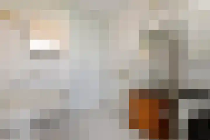 Leigraaf 58 Druten thumbnail 17