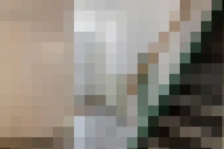 Leigraaf 58 Druten thumbnail 18