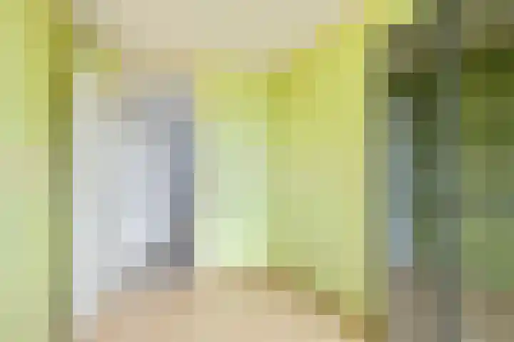 Leigraaf 58 Druten thumbnail 22