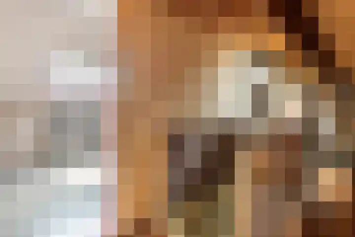 Leigraaf 58 Druten thumbnail 28