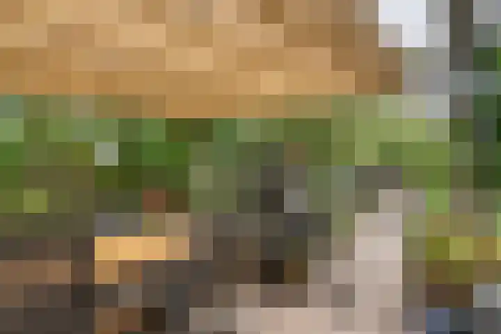 Leigraaf 58 Druten thumbnail 31