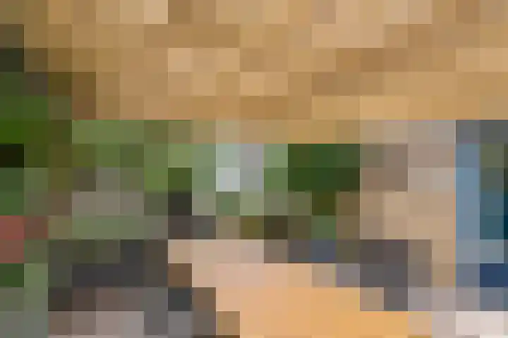 Leigraaf 58 Druten thumbnail 32