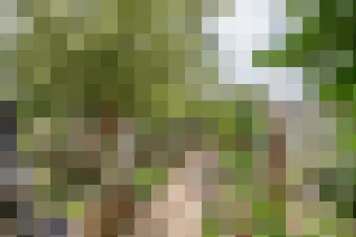 Leigraaf 58 Druten thumbnail 33