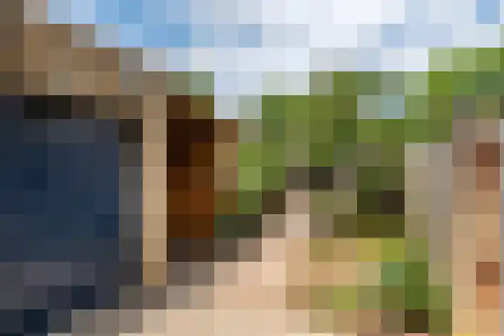 Leigraaf 58 Druten thumbnail 35