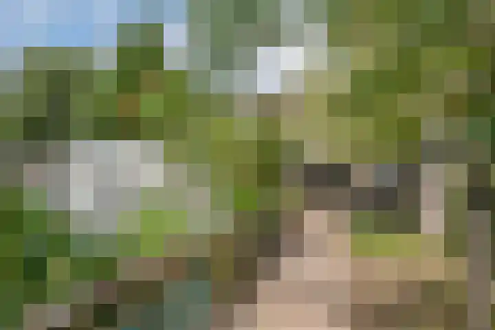 Leigraaf 58 Druten thumbnail 36