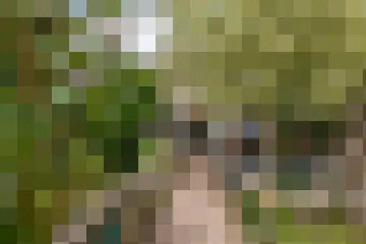 Leigraaf 58 Druten thumbnail 37