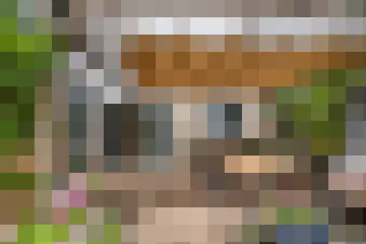 Leigraaf 58 Druten thumbnail 38