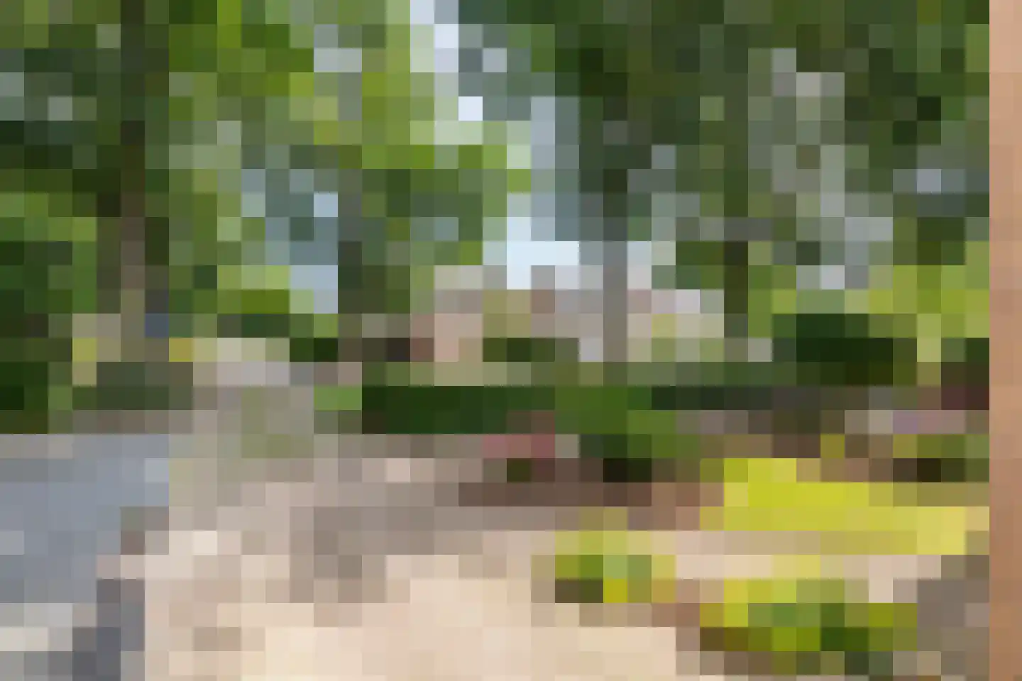 Leigraaf 63 Druten thumbnail 32