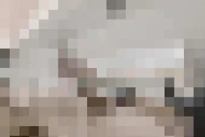 Leigraaf 72 Druten thumbnail 23