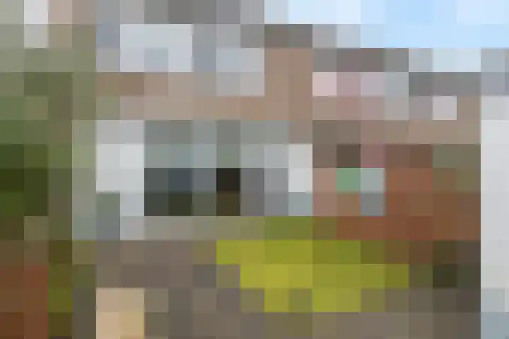 Leigraaf 72 Druten thumbnail 27