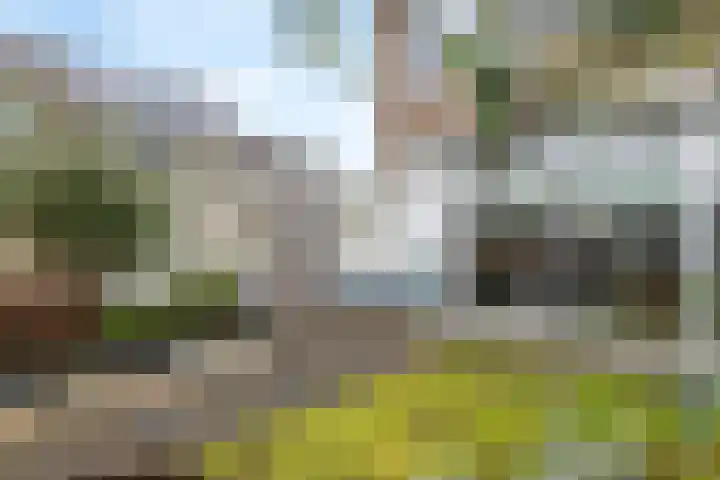 Leigraaf 72 Druten thumbnail 29