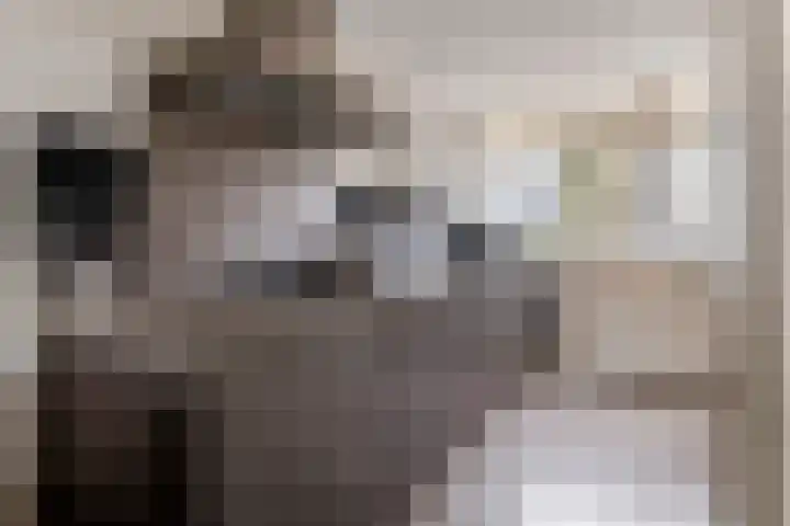 Leigraaf 72 Druten thumbnail 4
