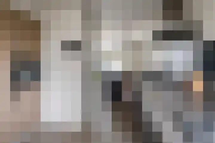 Leigraaf 72 Druten thumbnail 7