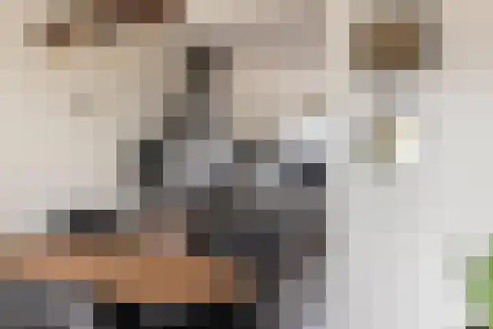 Leigraaf 72 Druten thumbnail 8