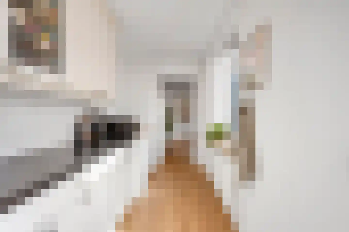 Leijdsweg 37 Enschede thumbnail 12