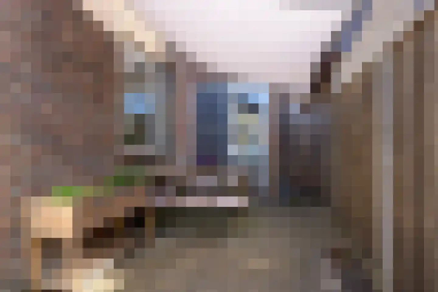 Leijdsweg 37 Enschede thumbnail 21