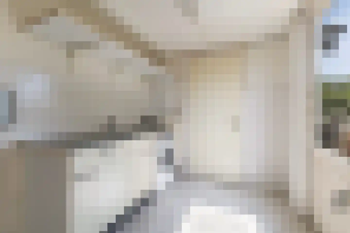 Leije 10 Terherne thumbnail 21