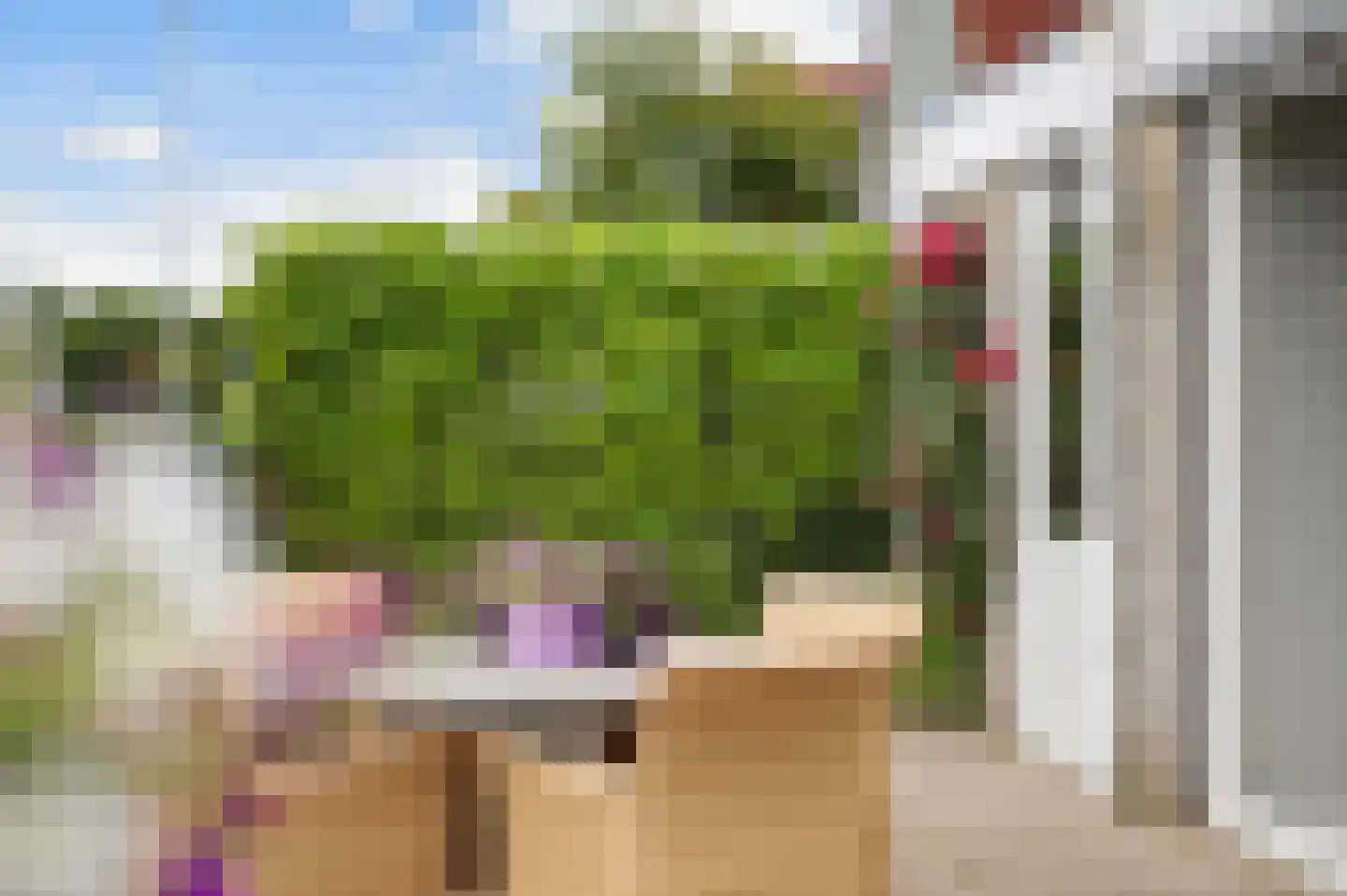 Leije 10 Terherne thumbnail 22