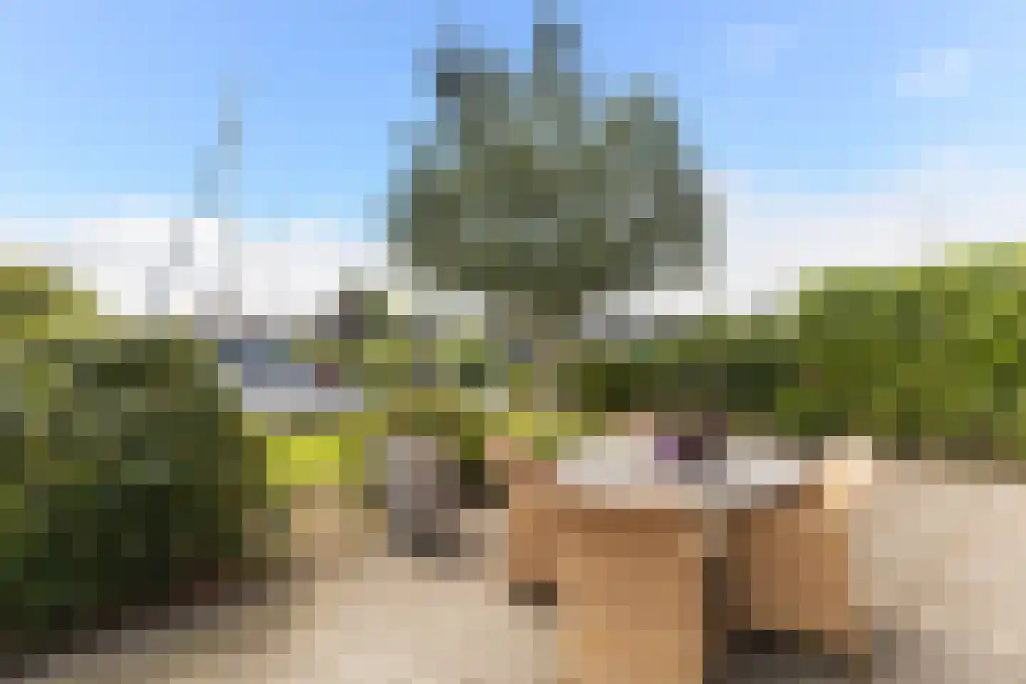 Leije 10 Terherne thumbnail 24
