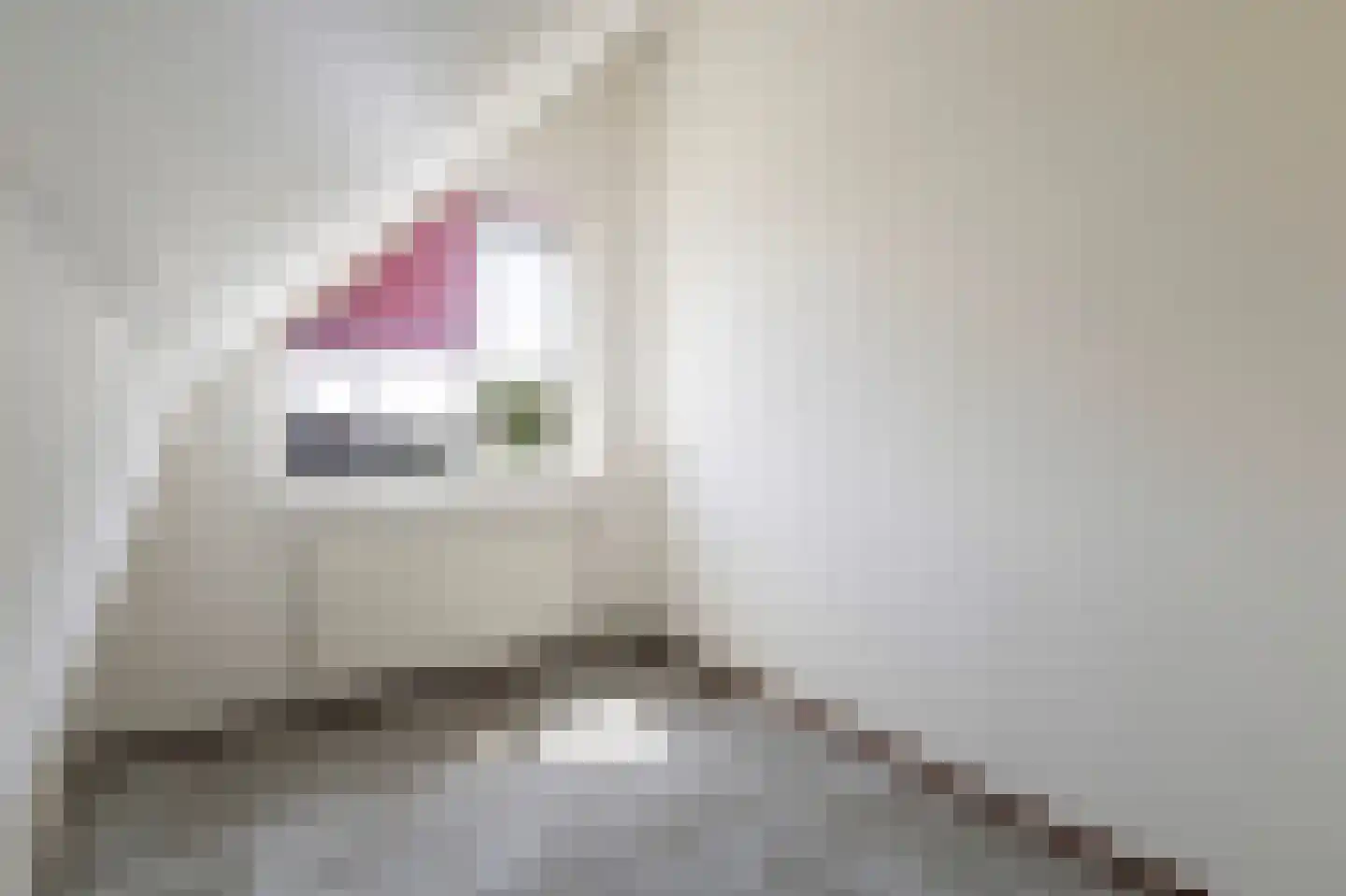 Leije 10 Terherne thumbnail 30