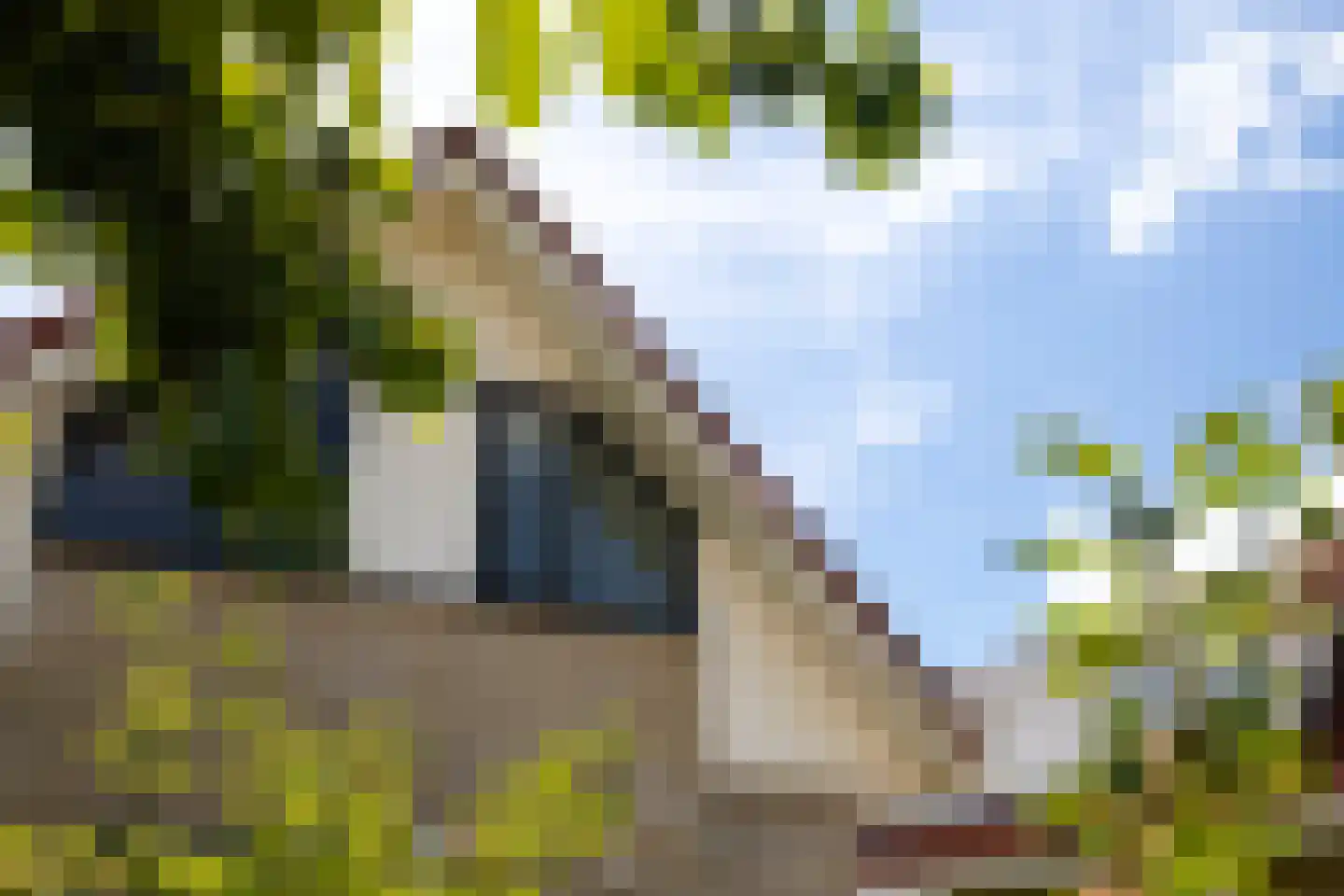 Leije 15 Terherne thumbnail 13
