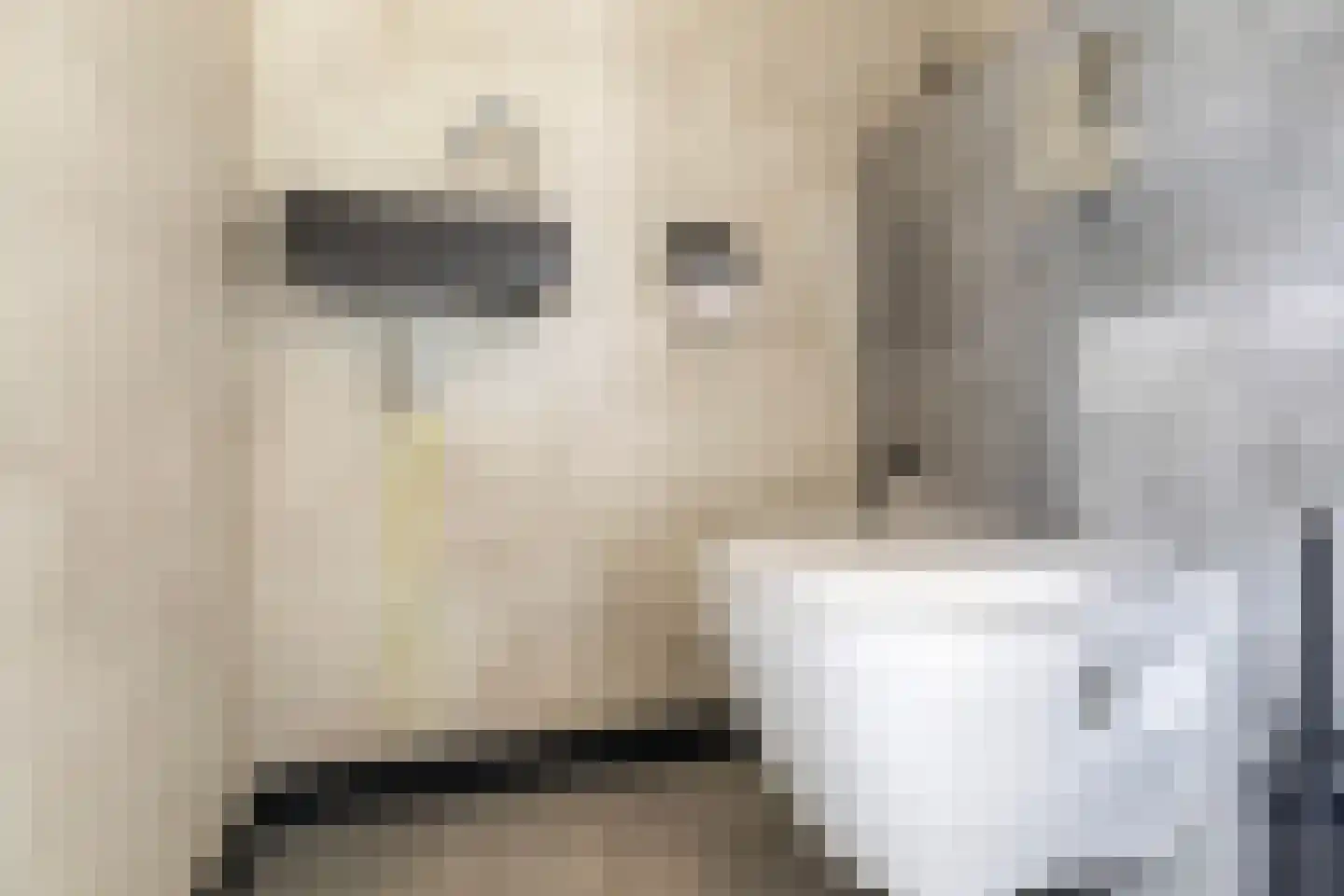 Leije 15 Terherne thumbnail 15