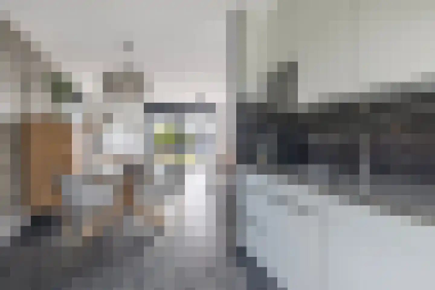 Leije 15 Terherne thumbnail 17