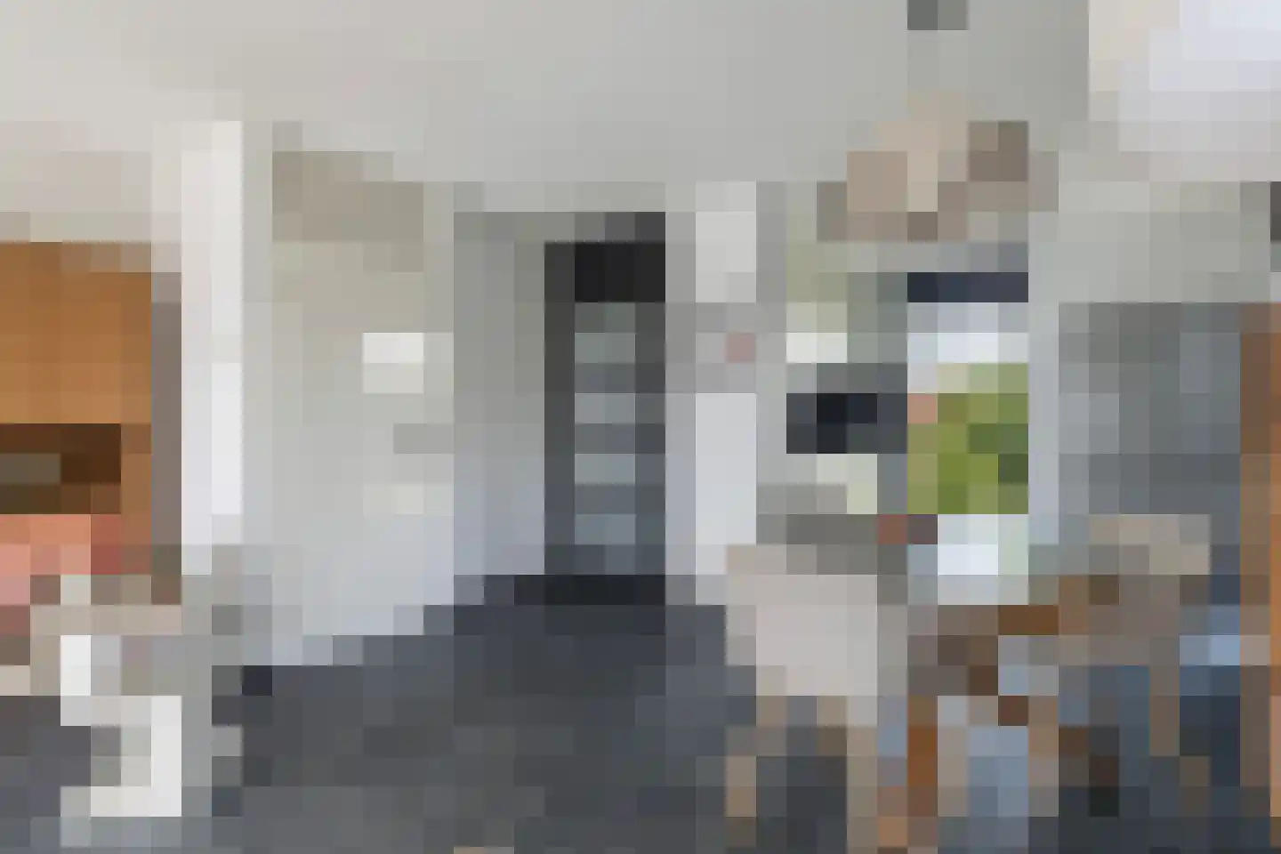 Leije 15 Terherne thumbnail 22