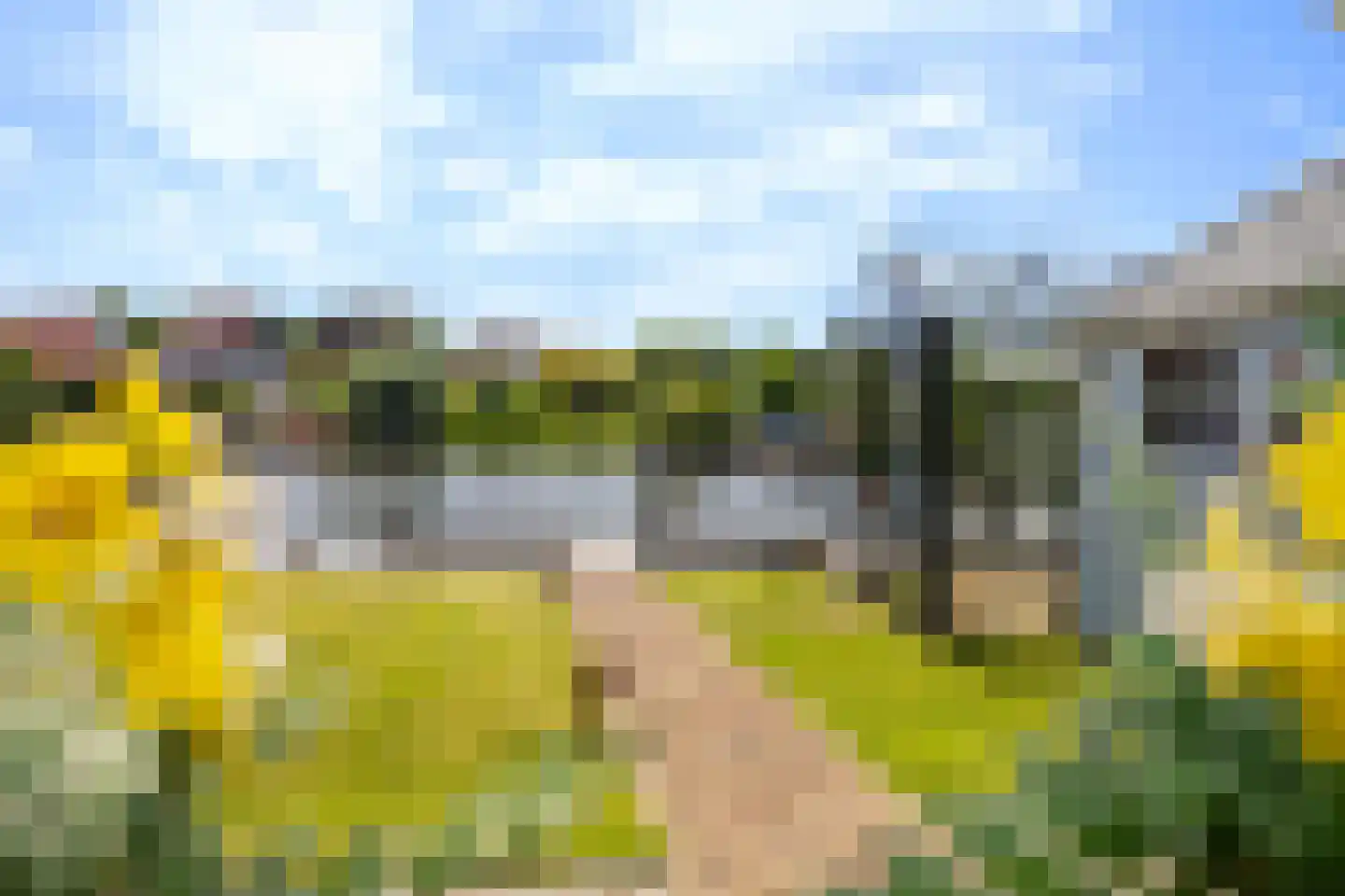 Leije 15 Terherne thumbnail 31